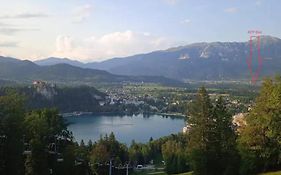 Apartment Bee Near Bled